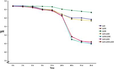 Phenotype testing, genome analysis, and metabolic interactions of three lactic acid bacteria strains existing as a consortium in a naturally fermented milk